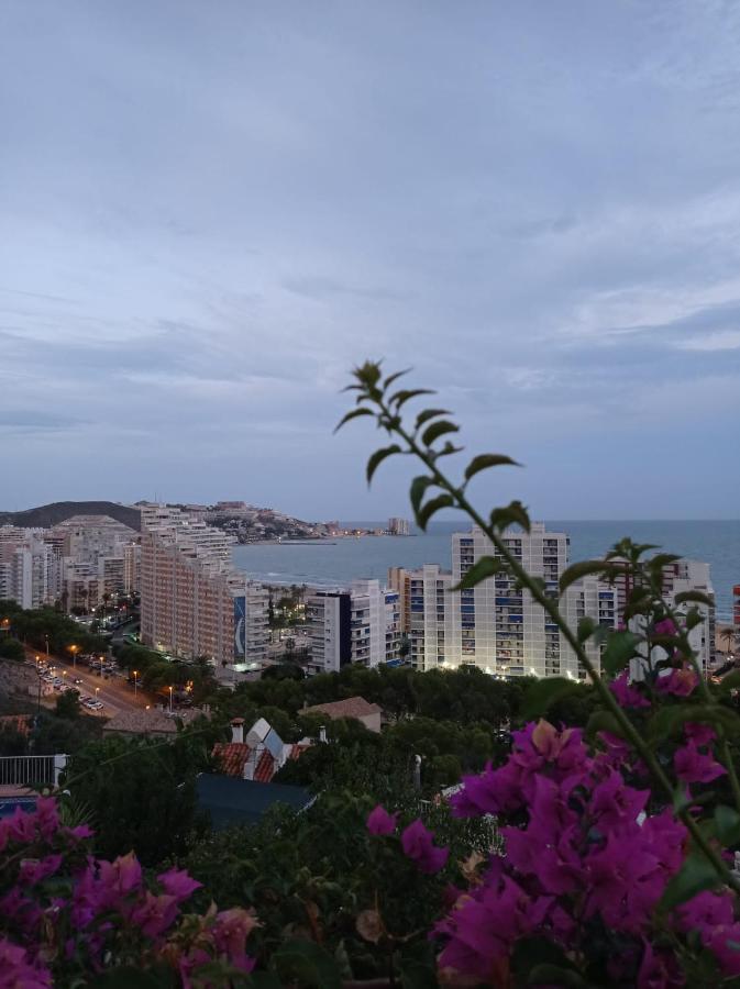 Apto Poseidon Con Parking En Edificio Subterraneo * Cullera